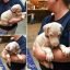 kasper_the_friendly_dobe_277820476_673213403931668_1380516377767509828_n.jpg